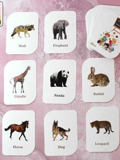 Animal Flash Cards – 32 Durable & Laminated Educational Cards