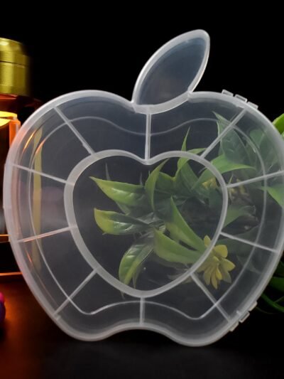 Apple Shape Jewellery Box � Transparent Plastic Organizer | LilyGleam