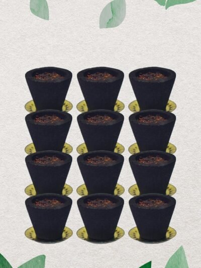 Gugal Sambrani Cups – 12 Pc Havan Set for Pooja | Indo Glow