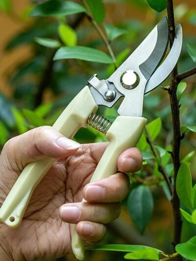 Pruning Shears – Sharp Stainless Steel Blades | XcelCraft