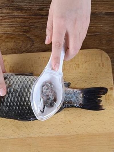 Fish Scale Scraper – Mess-Free Descaling Tool | Quickslice
