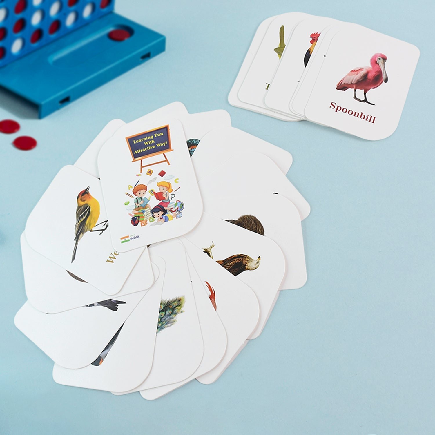 Bird Flashcards – 32 Realistic Educational Cards for Kids