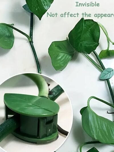 Plant Climbing Clips – Self-Adhesive Leaf Design | Indo Glow