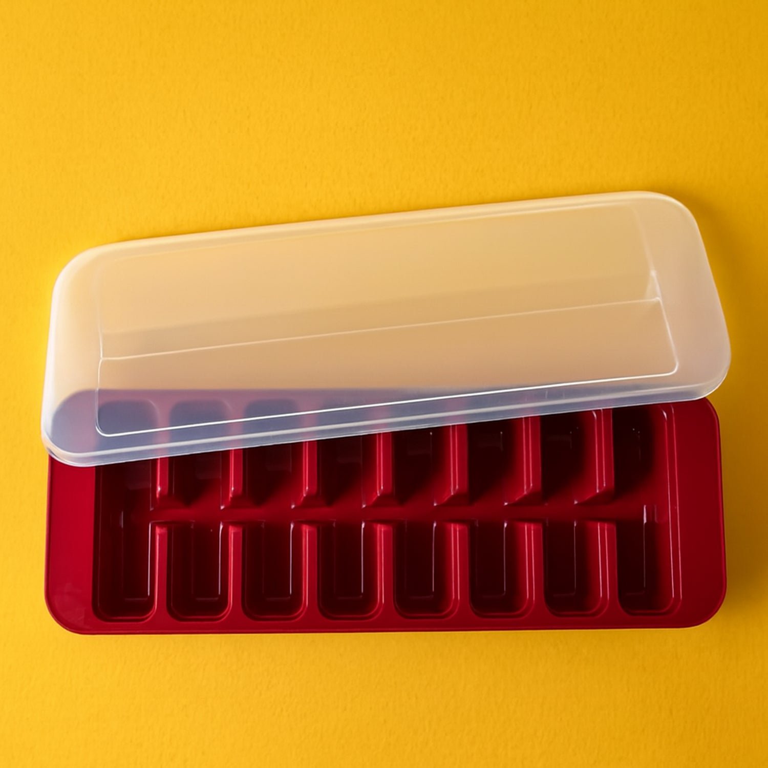 02 icetray.jpg