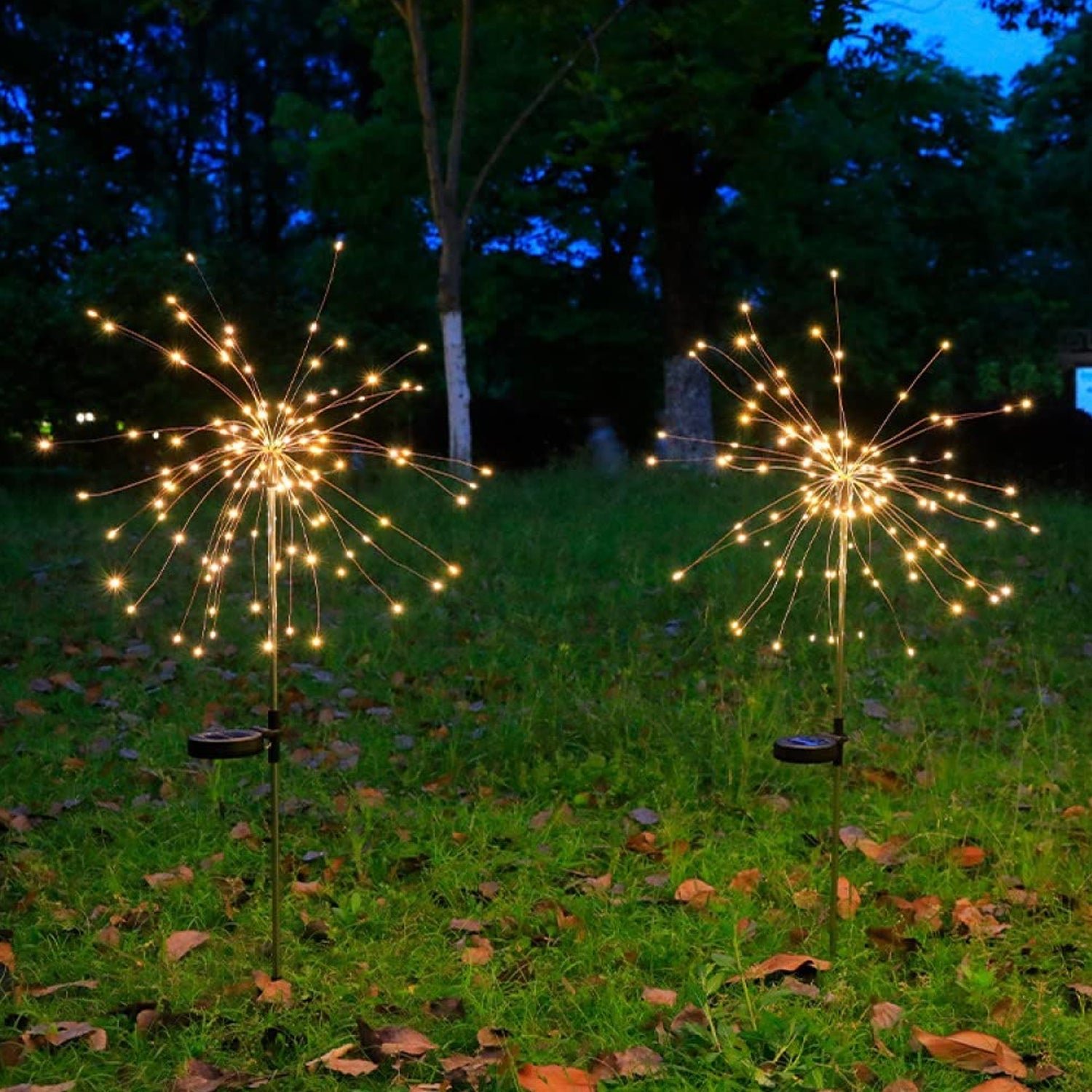 02 light e6f465c7 5cd5 418c 82b7 6a74cbcebd95.jpg