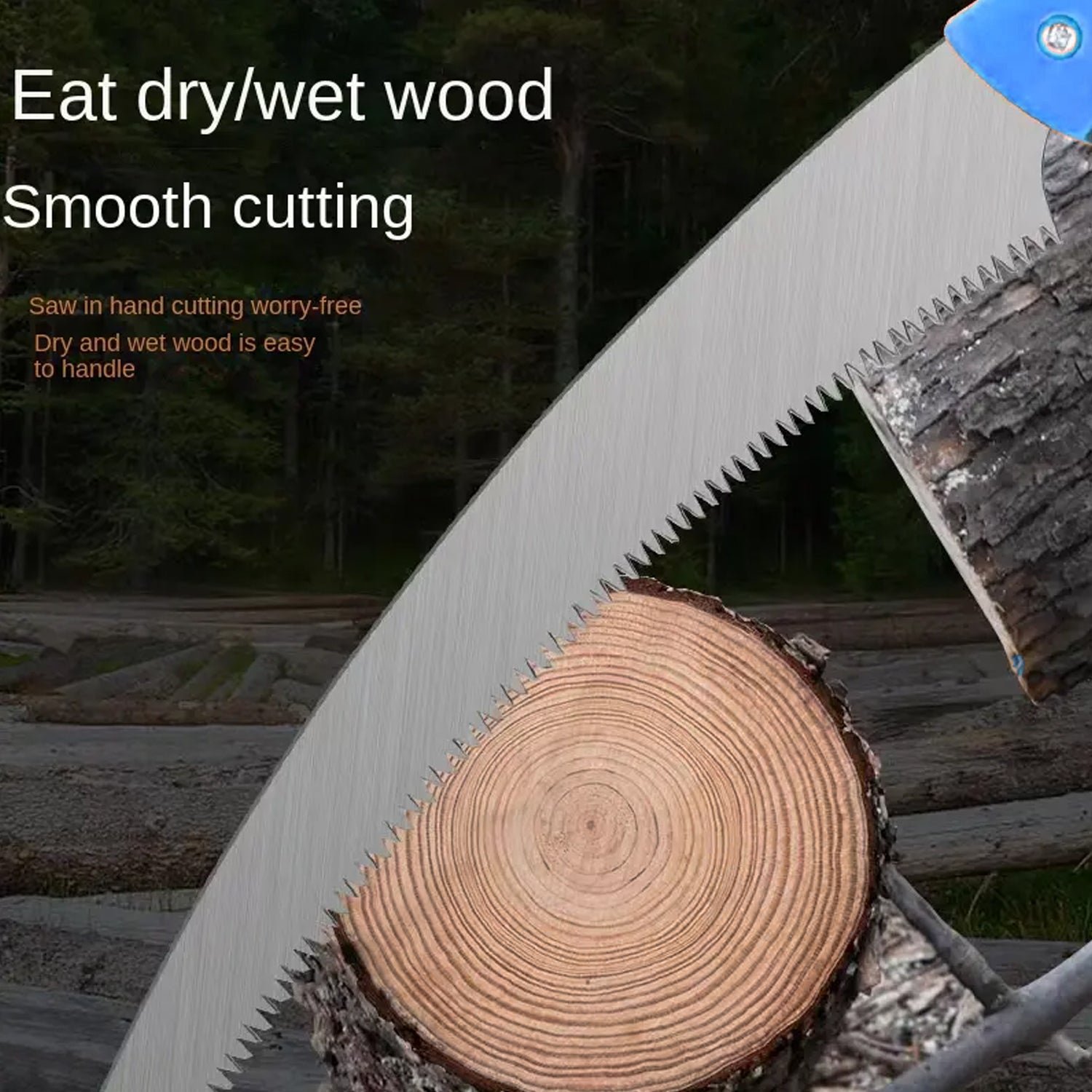 03 a3373b45 7d68 498d bf3e e755dd676f31.jpg 03 a3373b45 7d68 498d bf3e e755dd676f31.jpg