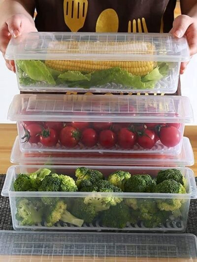Freezer Storage Containers – 6-Pack 1500ML with Drain Plate | Organivo