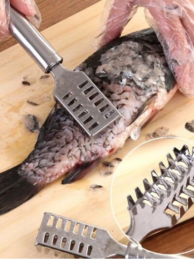Fish Scale Remover – Sawtooth Stainless Steel Scraper | Quickslice