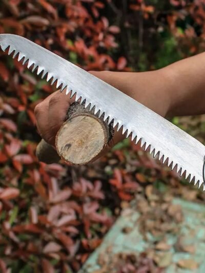 Folding Handsaw – Multi-Purpose Pruning Tool | Tidy Roots