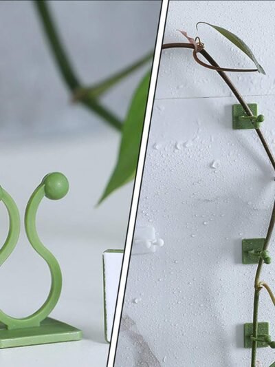 Plant Climbing Clips – Self-Adhesive Wall Support | Grow Vanta