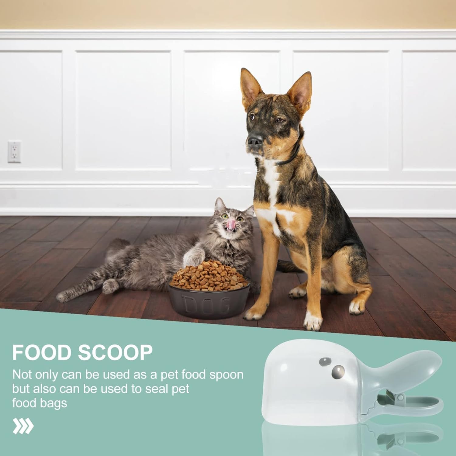 07 food scoop.jpg