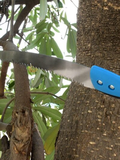 Pruning Saw – 20-Inch High Carbon Steel, Sharp Teeth | Grow Garden Tools