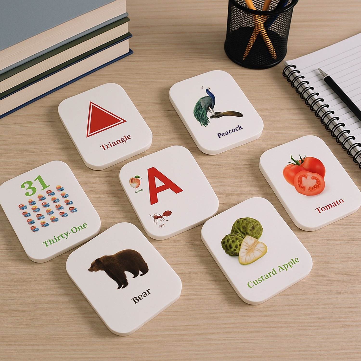 Early Learner Flashcard Set – 224 Durable Educational Cards