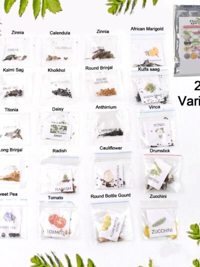 Vegetable & Flower Seeds Combo – 20 Varieties for Home Garden