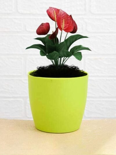 Plastic Flower Pots – Durable Round Planters for Home & Garden | Plant Edge