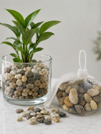 Decorative River Pebbles � Versatile Natural Stones for Indoor & Outdoor