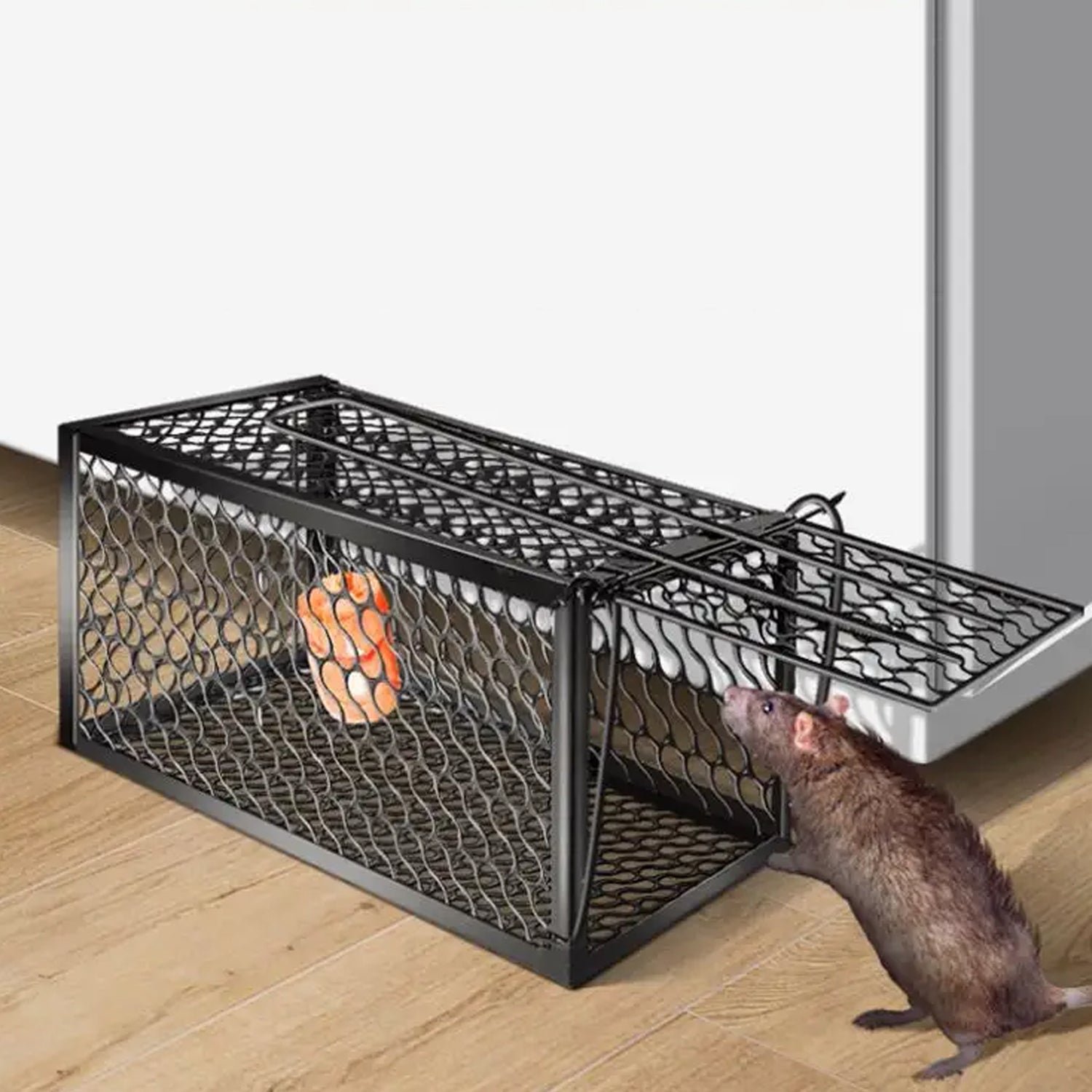 Humane Mouse Trap – Foldable Live Catch Cage for Rodents |