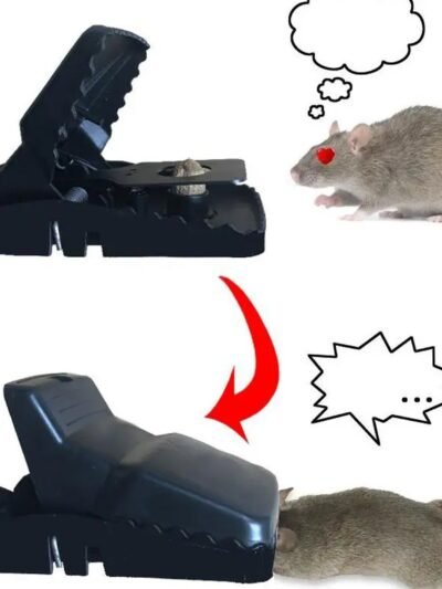 Mouse Trap Cage – Reusable Pest Control for Home |