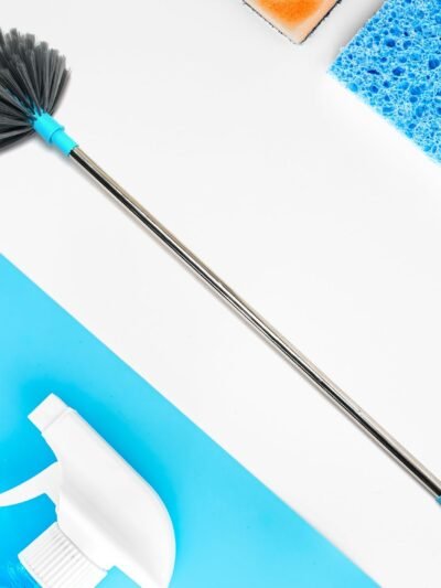 Cobweb Cleaning Brush – Extendable Steel Handle | Pro Clean
