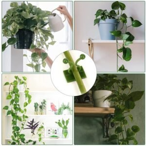 Money Plant Support Clips – Durable Self-Adhesive Vine Fixing Set | Indo Glow