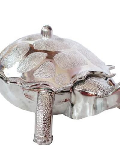 Tortoise Dry Fruit Box – Decorative Gifting & Serving | Styleva