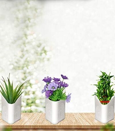 Hanging Planter Pot – Multicolour Vertical Garden | Gambit