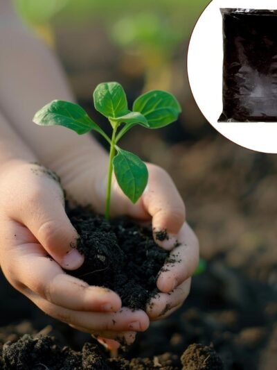 Organic Vermicompost – 1 KG Black Soil Manure for Plants | Grow Vanta