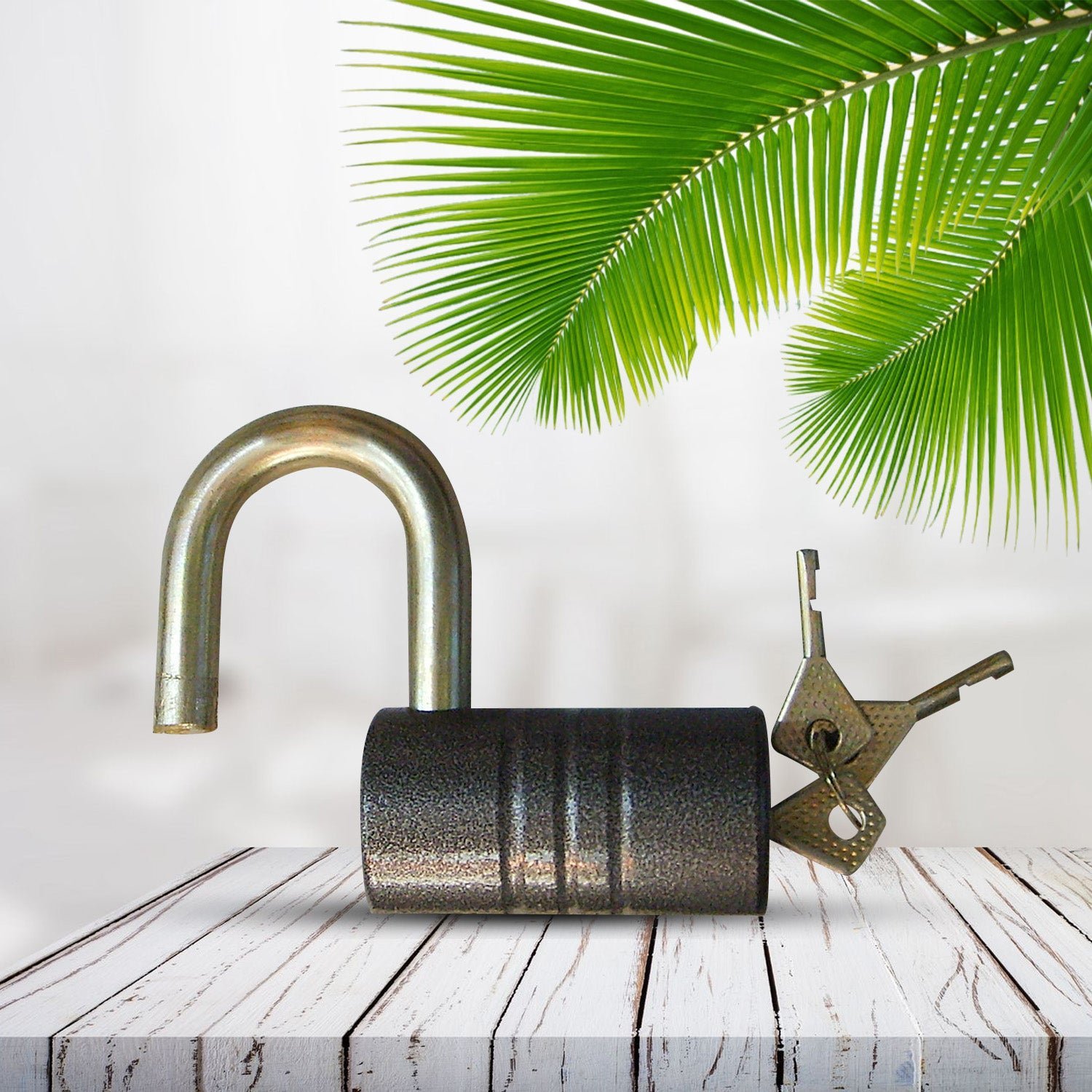 Iron Padlock – 82mm Heavy-Duty Brass Core | FortiLock