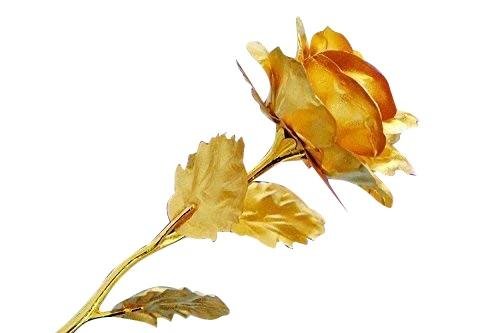 4 62296ab1 fb04 4acb 98e0 ce5bf03283b4.jpg 4 62296ab1 fb04 4acb 98e0 ce5bf03283b4.jpg