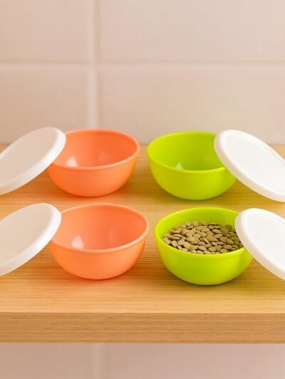 Small Plastic Bowls with Lids – 4-Pc Microwave Safe Katoris | Jiaqi
