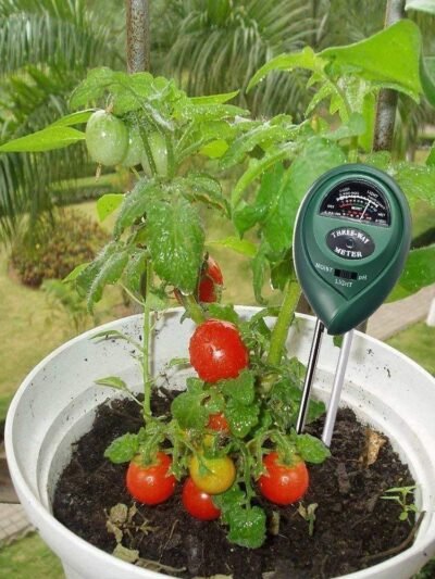 Soil Tester 3-in-1 for Moisture, pH & Sunlight | Grow Vanta