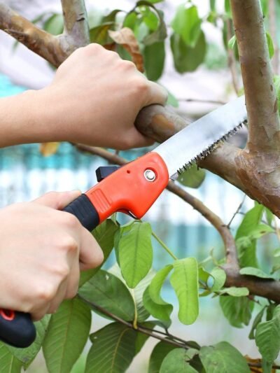 Folding Saw 180mm – Pruning & Camping Tool | Grow Garden Tools