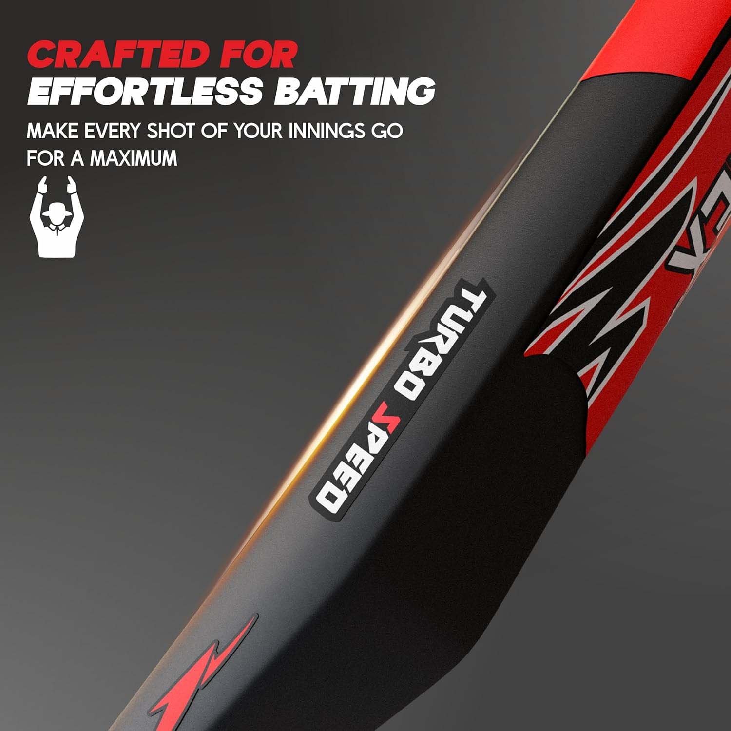 bat 02.jpg bat 02.jpg