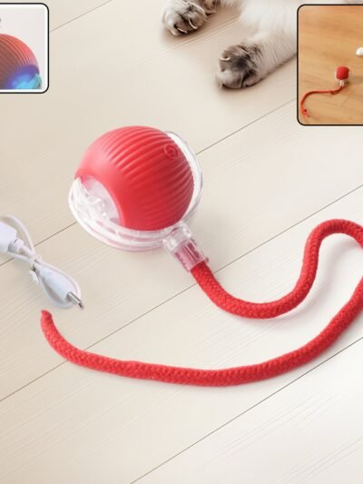 cat toy ball 01.jpg