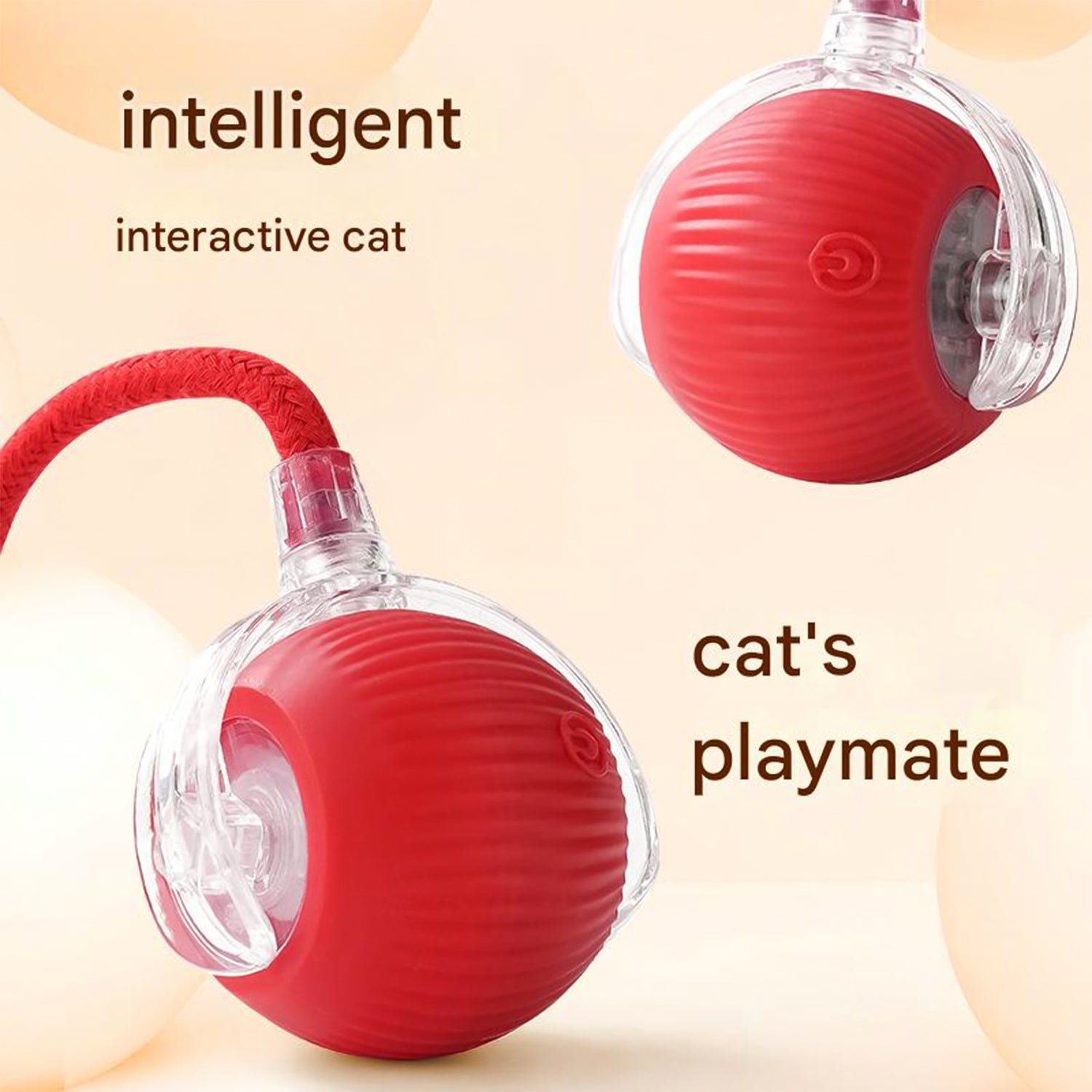 cat toy ball 02.jpg