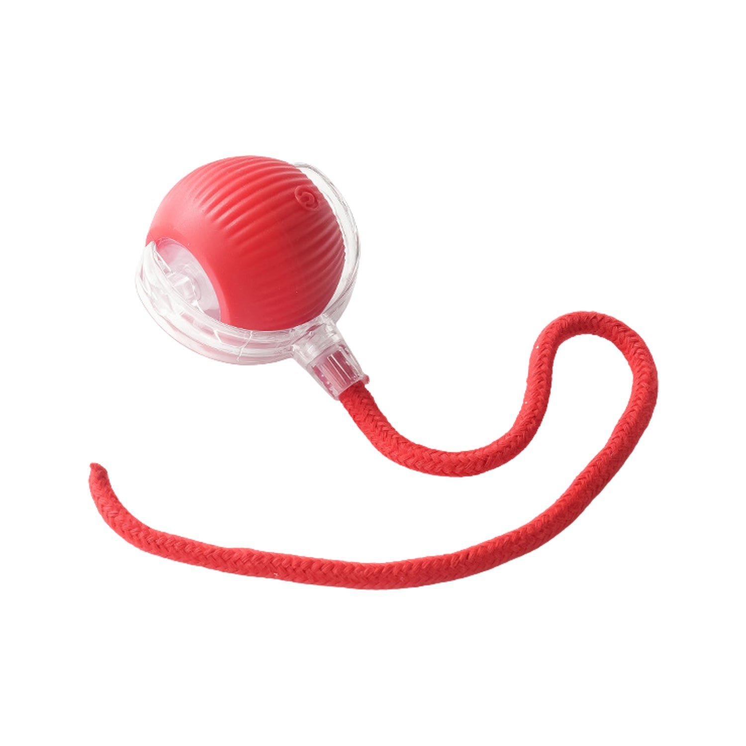cat toy ball 05.jpg