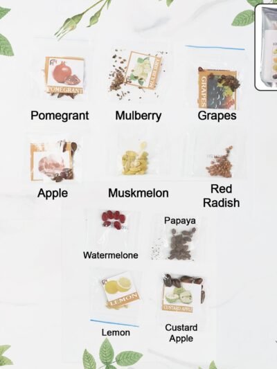Fruit Seeds Combo Pack – 10 Quality Varieties for Home Gardening
