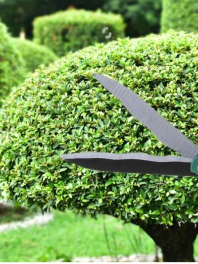 Garden Scissor – Ergonomic Pruning & Trimming Tool | Indo Glow