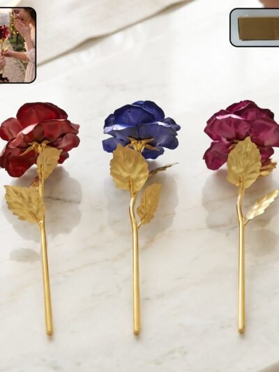Mix Color Rose Set – Vibrant Home & Office Decor | Garden Vera