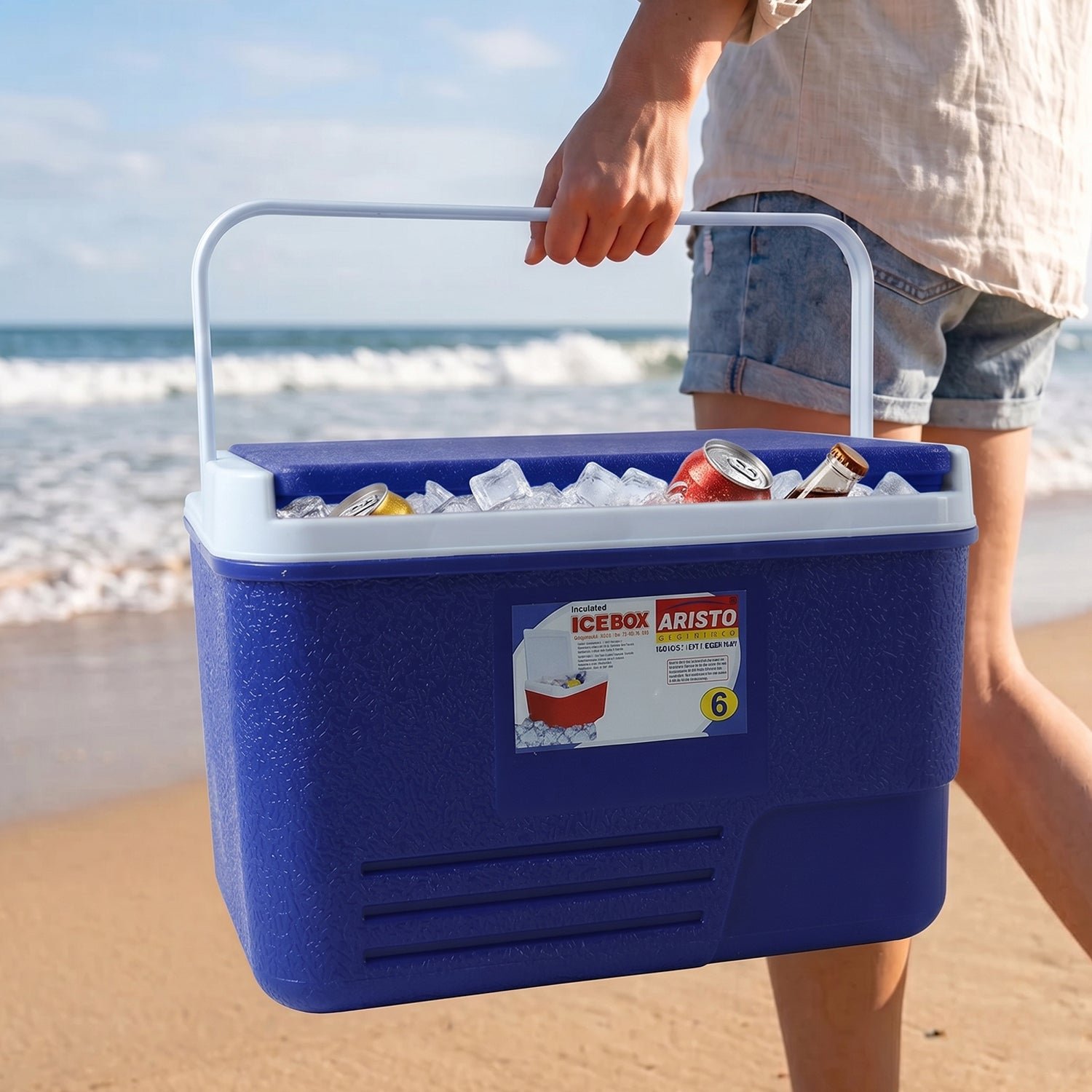 icebox6ltr 05.jpg