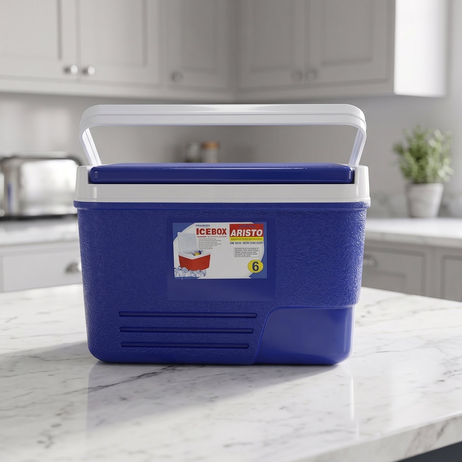 icebox6ltr 06.jpg