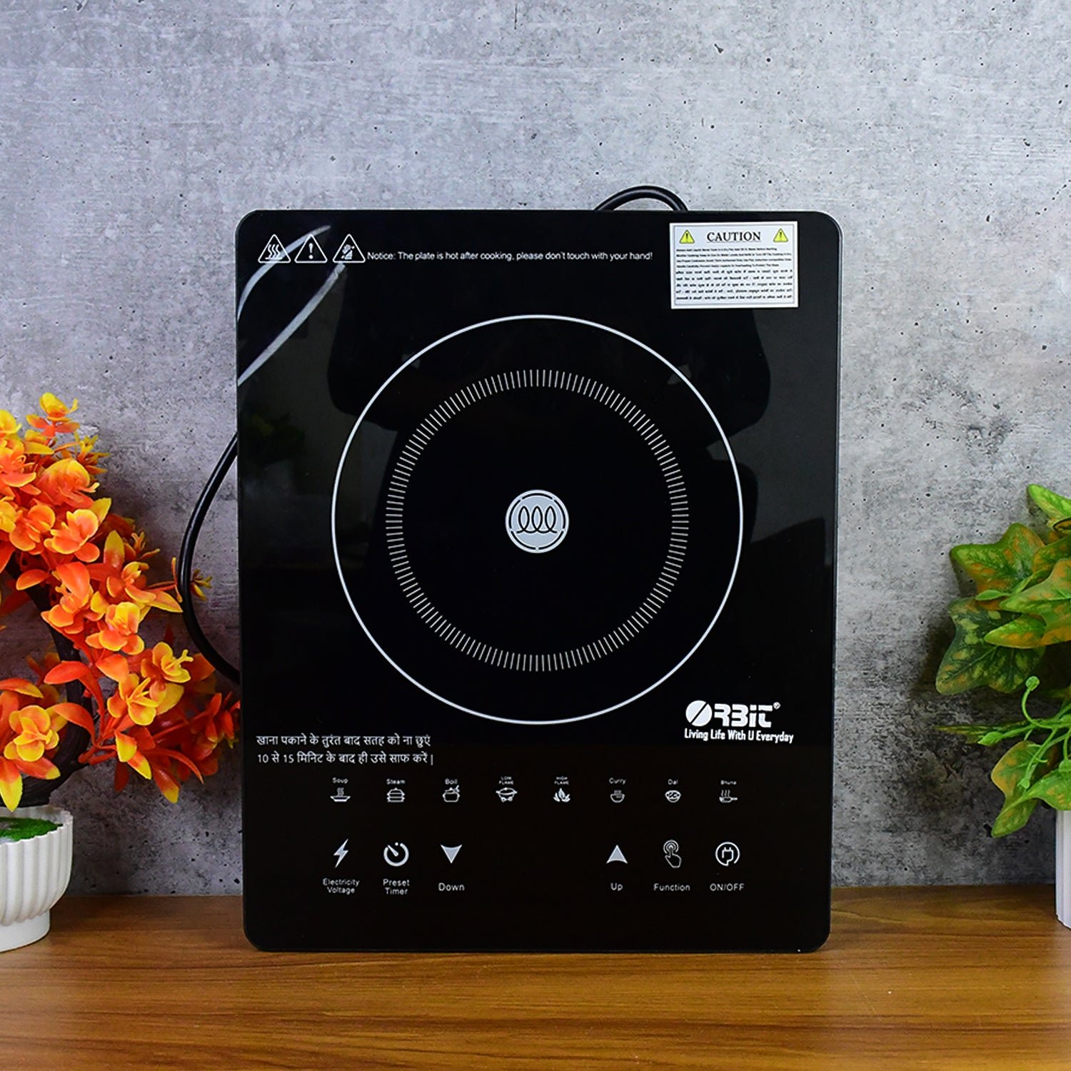 induction cooktop 02.jpg induction cooktop 02.jpg