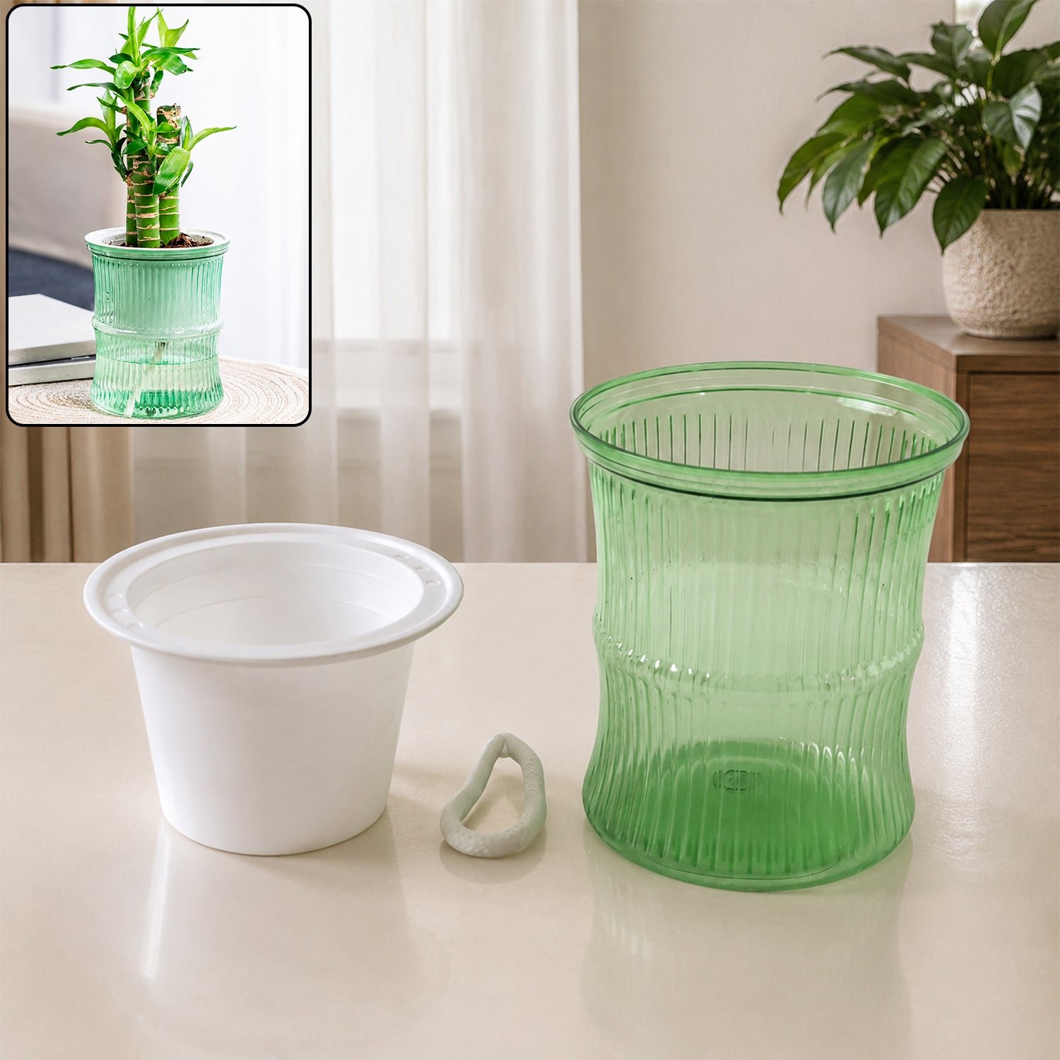 plant water pot 01.jpg