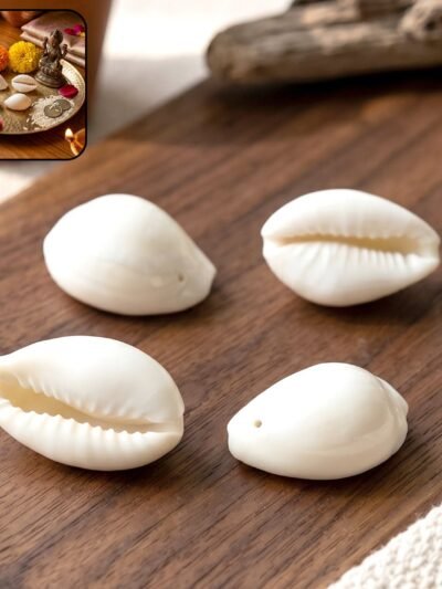 Natural Kaudi Cowrie Shells – Ideal for Pooja & Decor