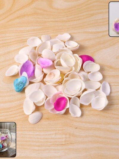 Decorative Seashells Set – Natural Vase Fillers for Home Decor