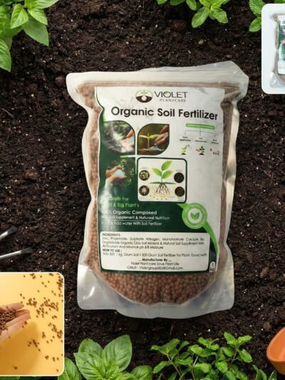 Red Organic Soil Fertilizer Granules – Natural Nourishment for Strong Roots