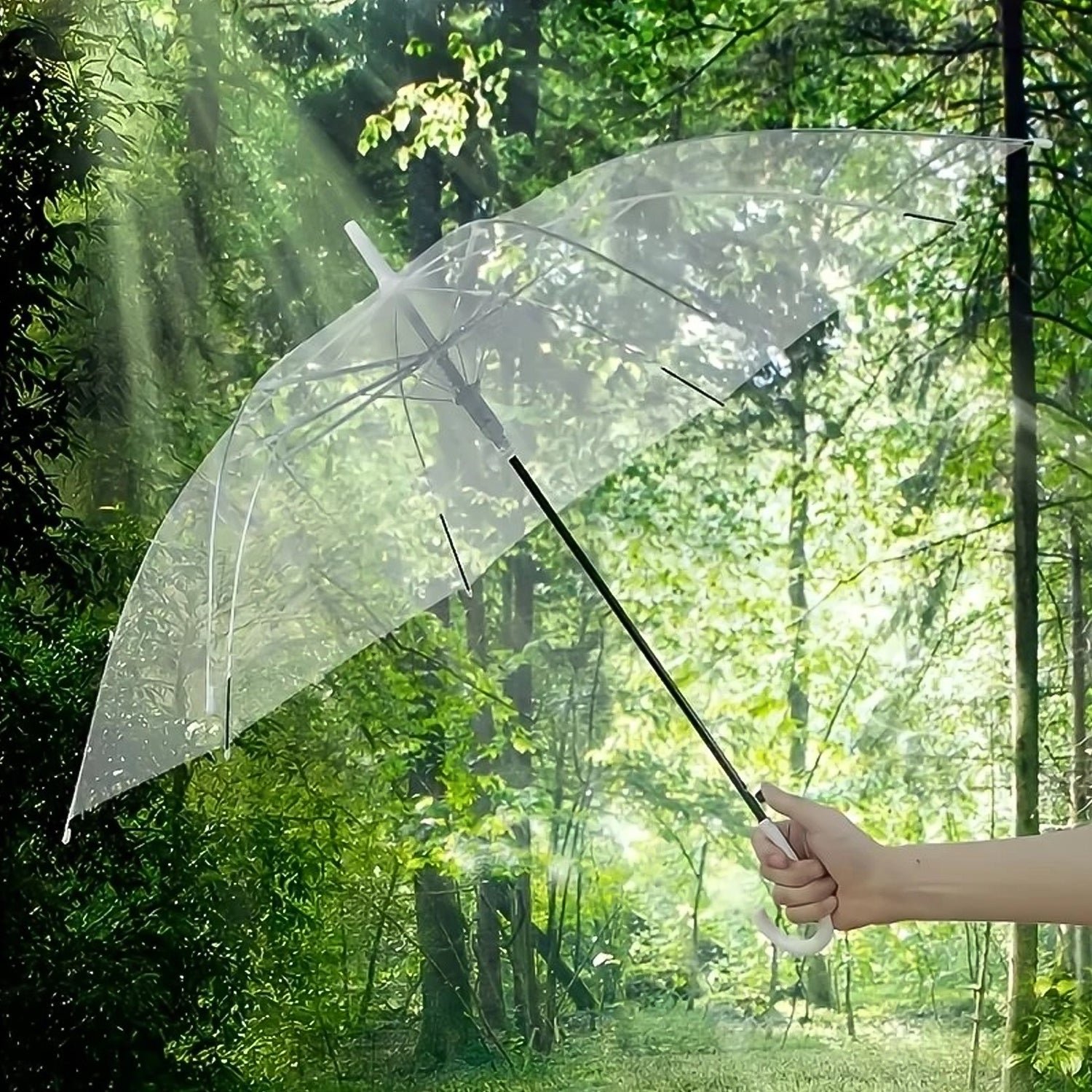 umbrella 03 96bbe1bf 68f9 4afe b61a fe9c0df24ec9.jpg umbrella 03 96bbe1bf 68f9 4afe b61a fe9c0df24ec9.jpg