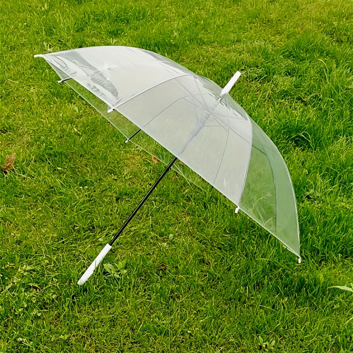 umbrella 04 2dff6a9a 7ce3 467e b739 5619ee0de4af.jpg umbrella 04 2dff6a9a 7ce3 467e b739 5619ee0de4af.jpg
