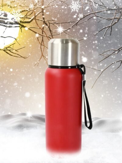 Stainless Steel Water Bottle 600ml – Leakproof Thermos | Own Hydrate