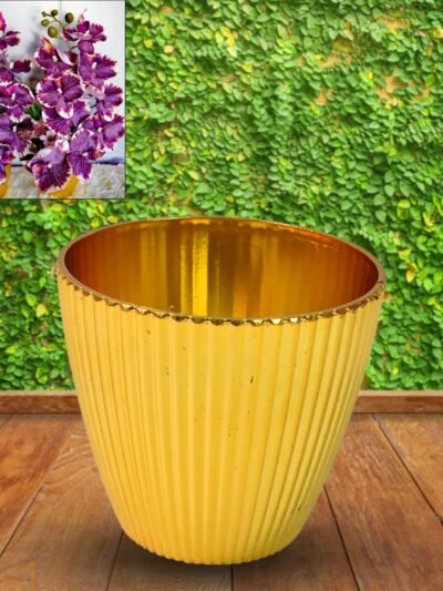 Plastic Flower Valencia Pot – Durable Indoor & Outdoor Planter
